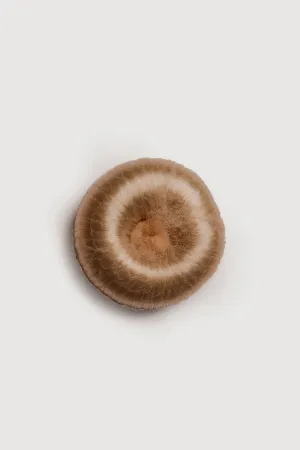 30110M - Bloch Medium Hair Donut