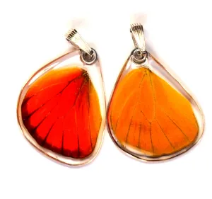 Butterfly wing pendant ONLY, Orange Albatross, bottom wing