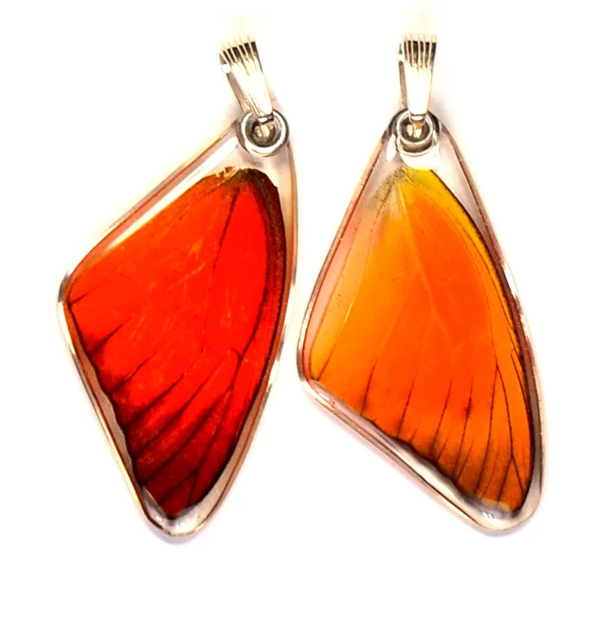 Butterfly wing pendant ONLY, Orange Albatross, top wing