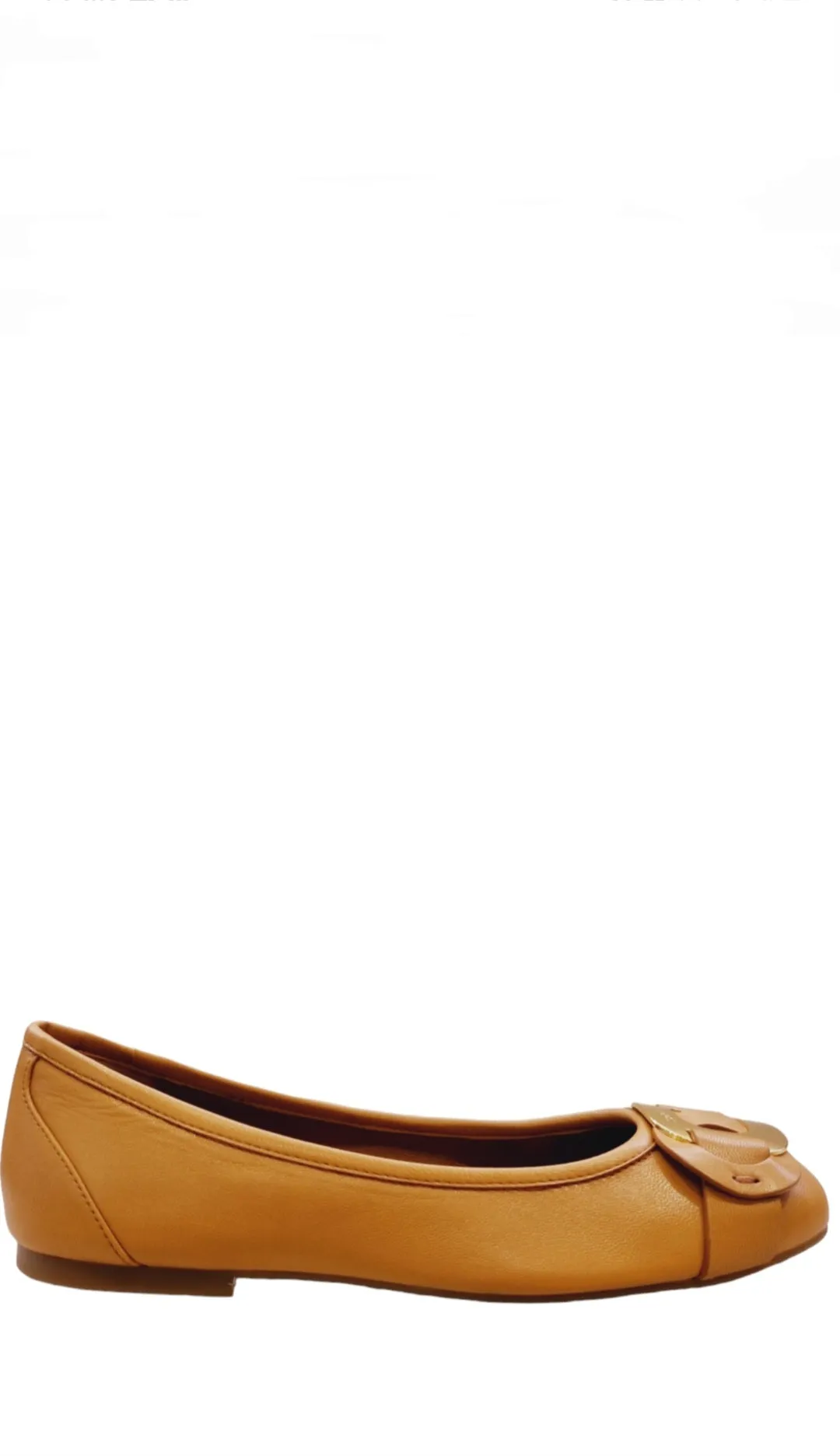Chany Tan Leather Ballet