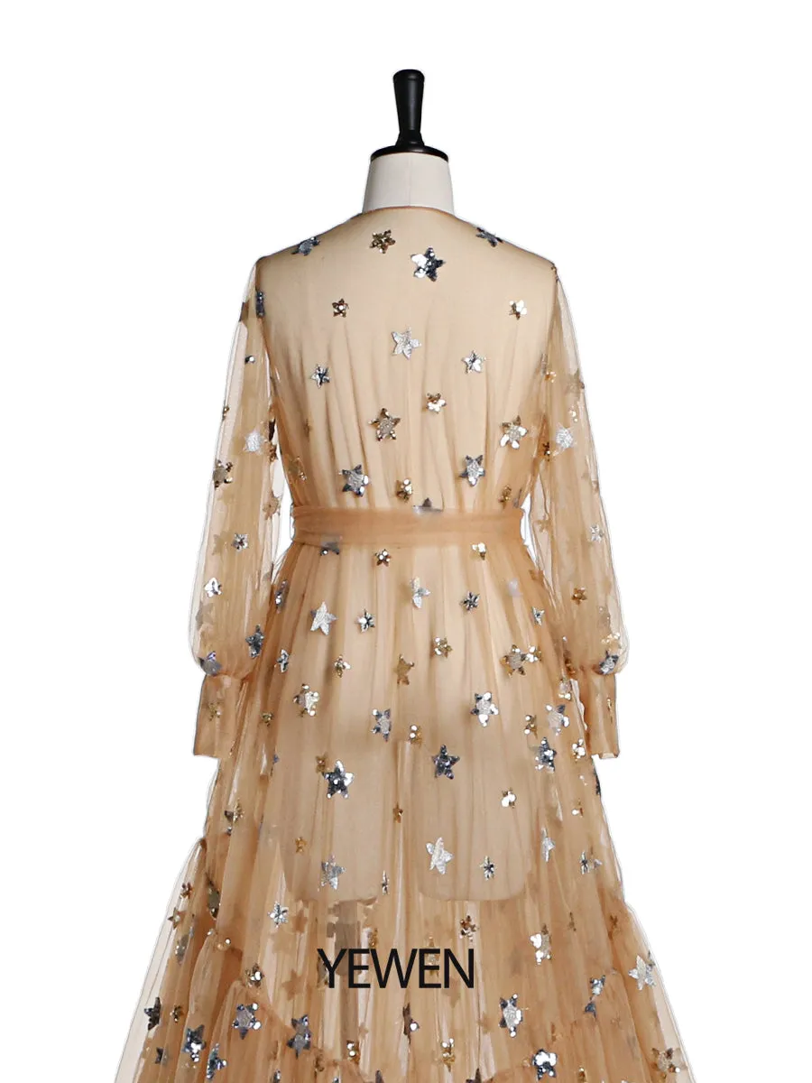 Elegant Sparkle Stars Maternity Robe Full Sleeves See Through Photo Shoot Dress Maternity Gown for baby showers Plus Size YD2104251