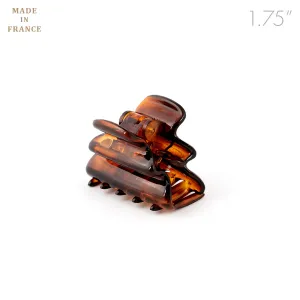 French Small Tortoise Wavy Claw
