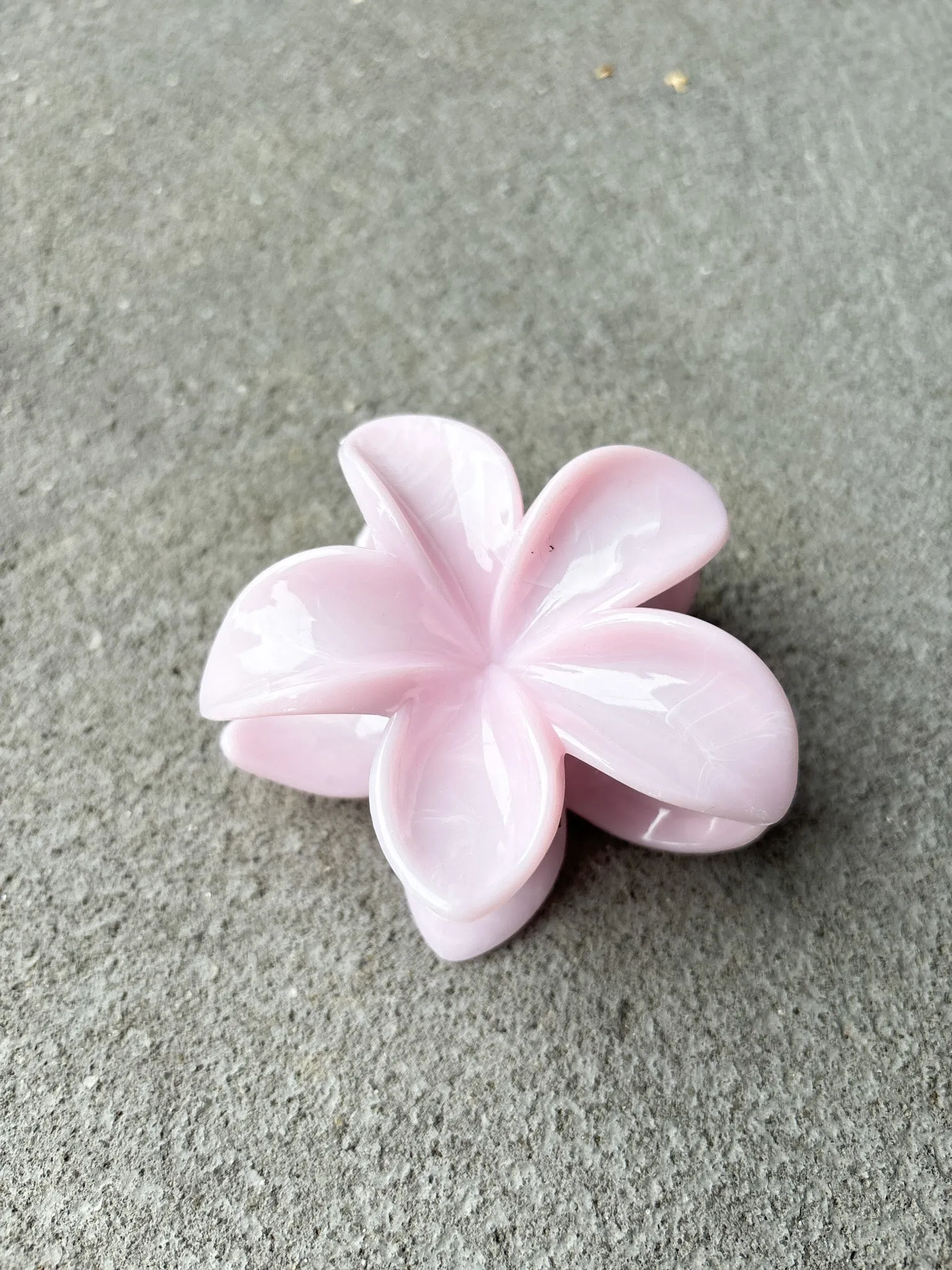 Hibiscus Resin Flower Claw Clips (3col)