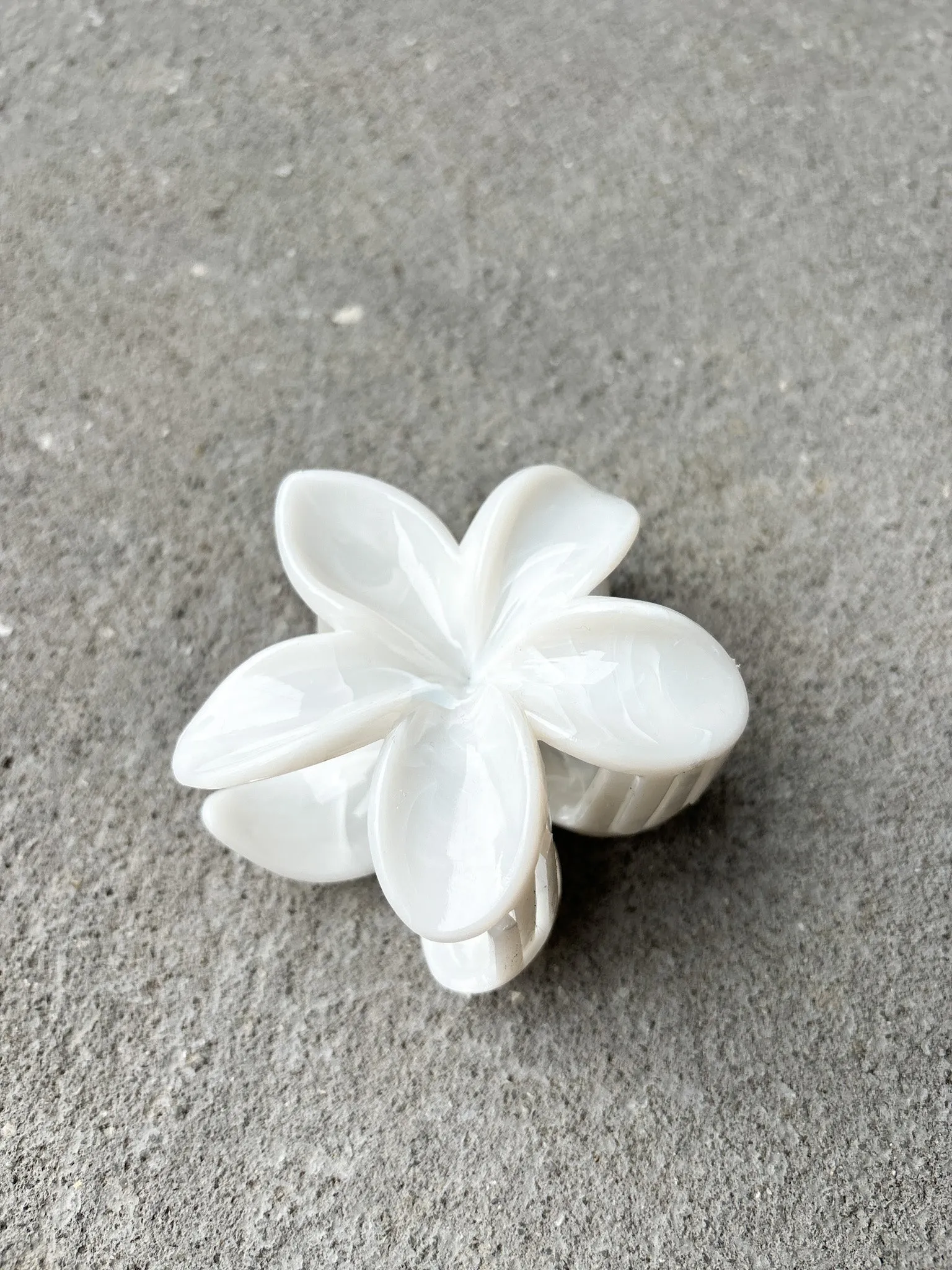 Hibiscus Resin Flower Claw Clips (3col)