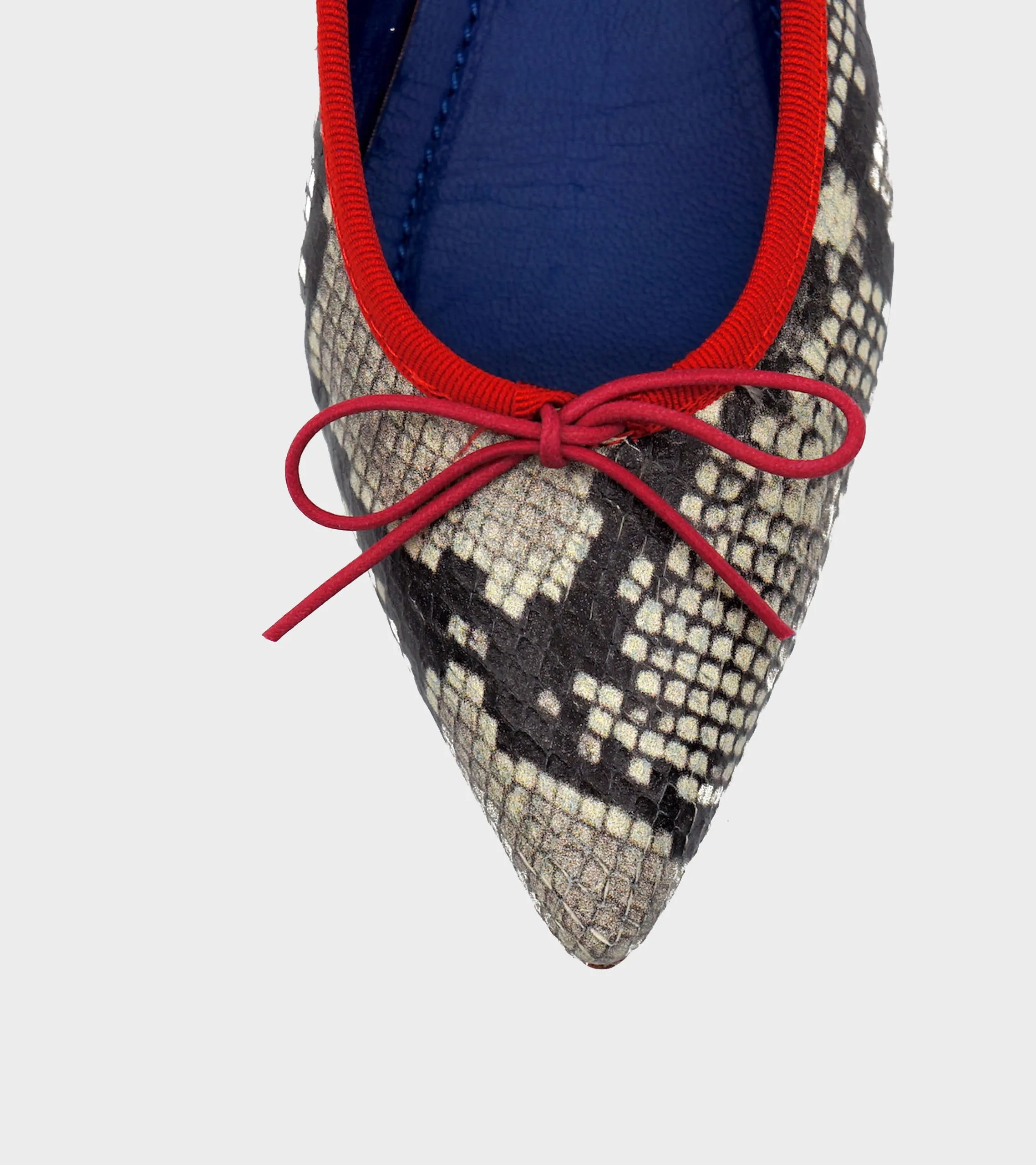 Isabella Snake Print