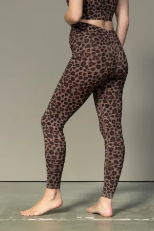Maternity Leggings Leo Cocoa