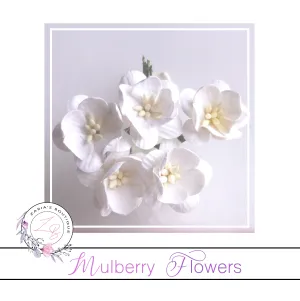 Mulberry Paper Cherry Blossoms ~ White ~ 5 pieces