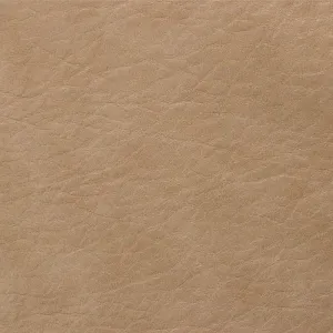 Sallie Tomato, Faux Leather